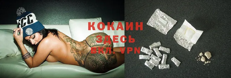 где найти   Буй  Cocaine Fish Scale 